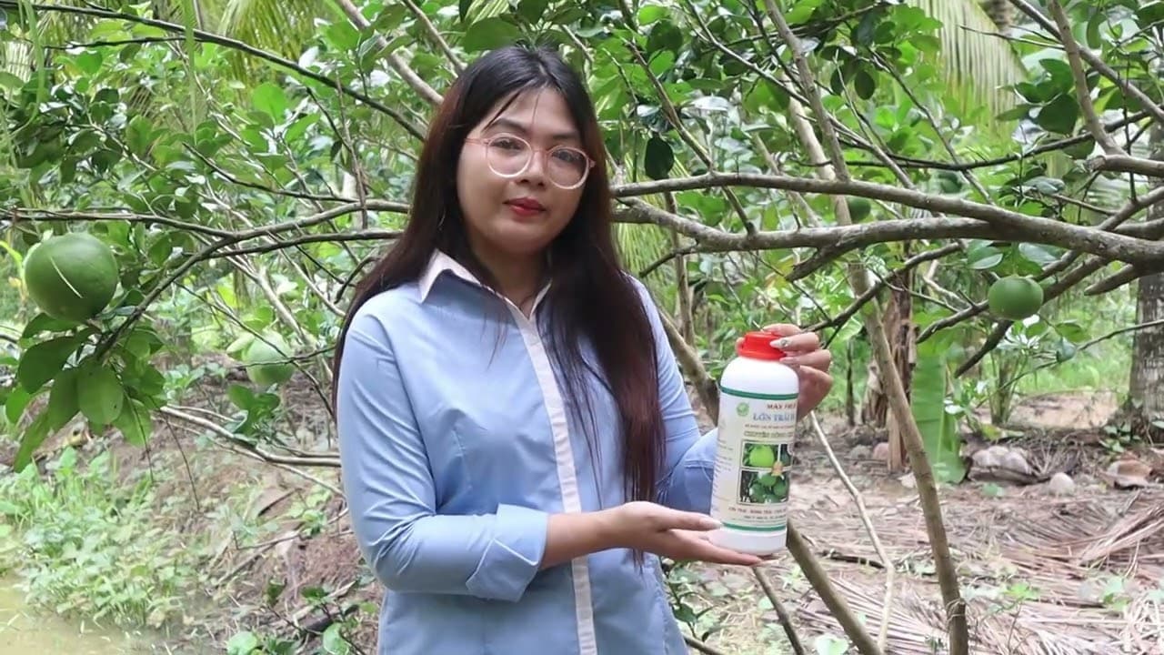 Sản phẩm dành cho cây bưởi