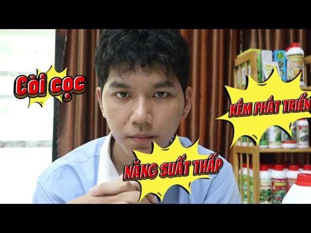 Giới thiệu Phân Đạm Cá Hồi Amino giá 350K