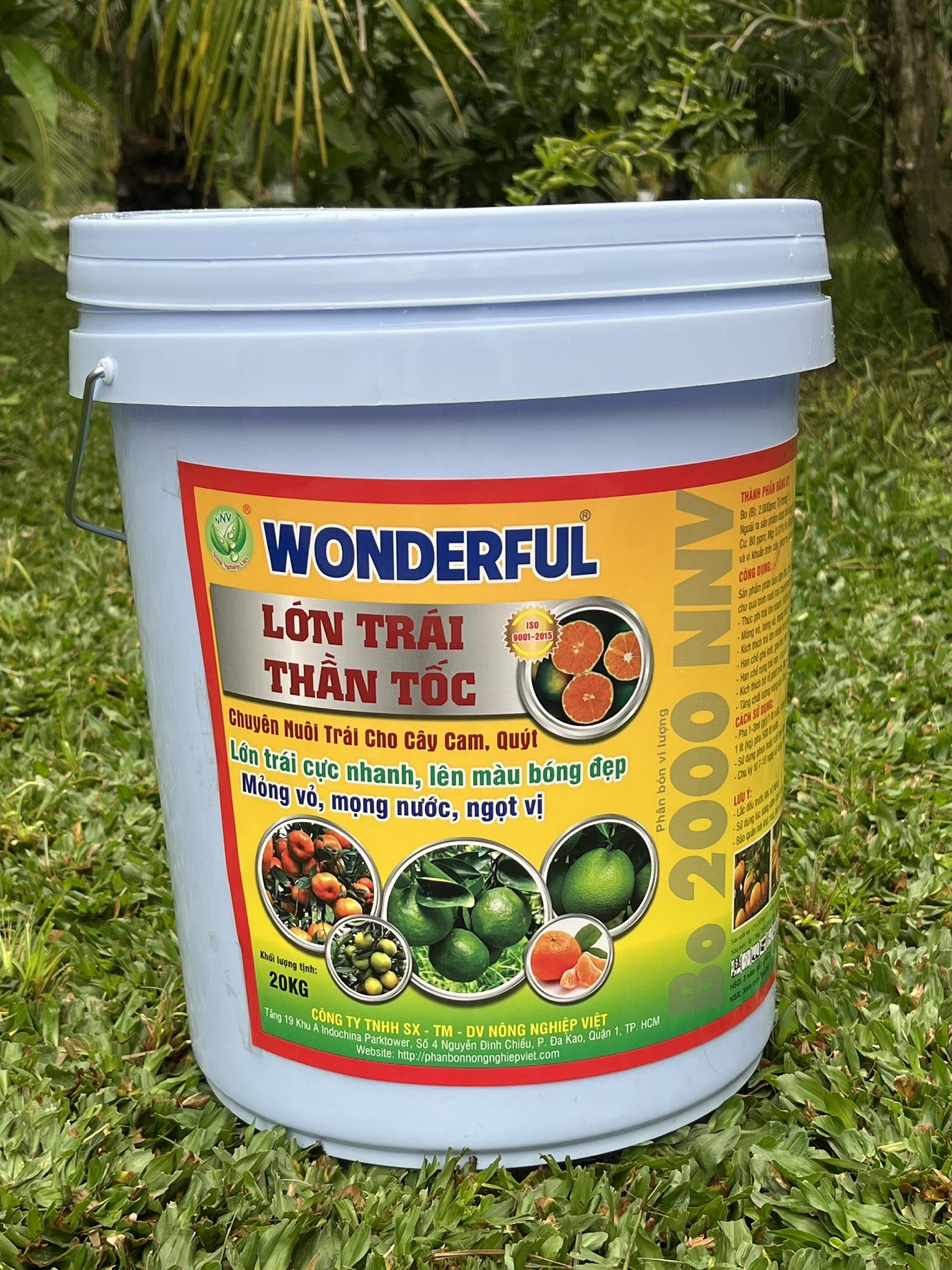 WONDERFUL - LỚN TRÁI THẦN TỐC