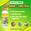 Max flower Vọt bông lớn trái – Chai 1L