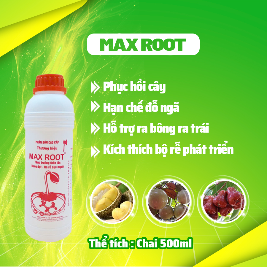 Max Root Siêu dưỡng – Chai 500mL