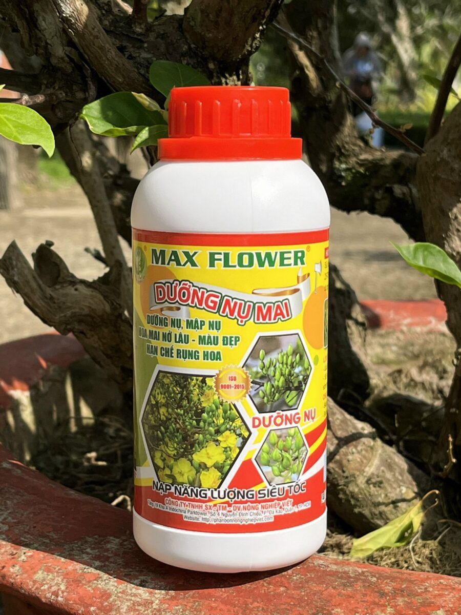 Phân bón Max Flower Dưỡng Nụ Mai