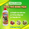 Phân bón Max Flower Kích trổ Bông Mận – Chai 1L