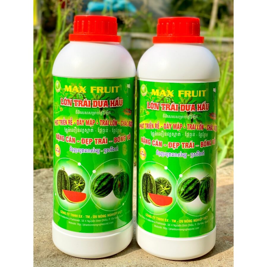 Phân bón Max Fruit Lớn Trái Dưa Hấu