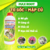 Phân bón Max Root To Gốc Mập Củ chuyên các loại kiểng – Chai 1L