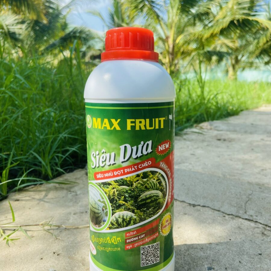 Phân bón Max Root Siêu Dưa