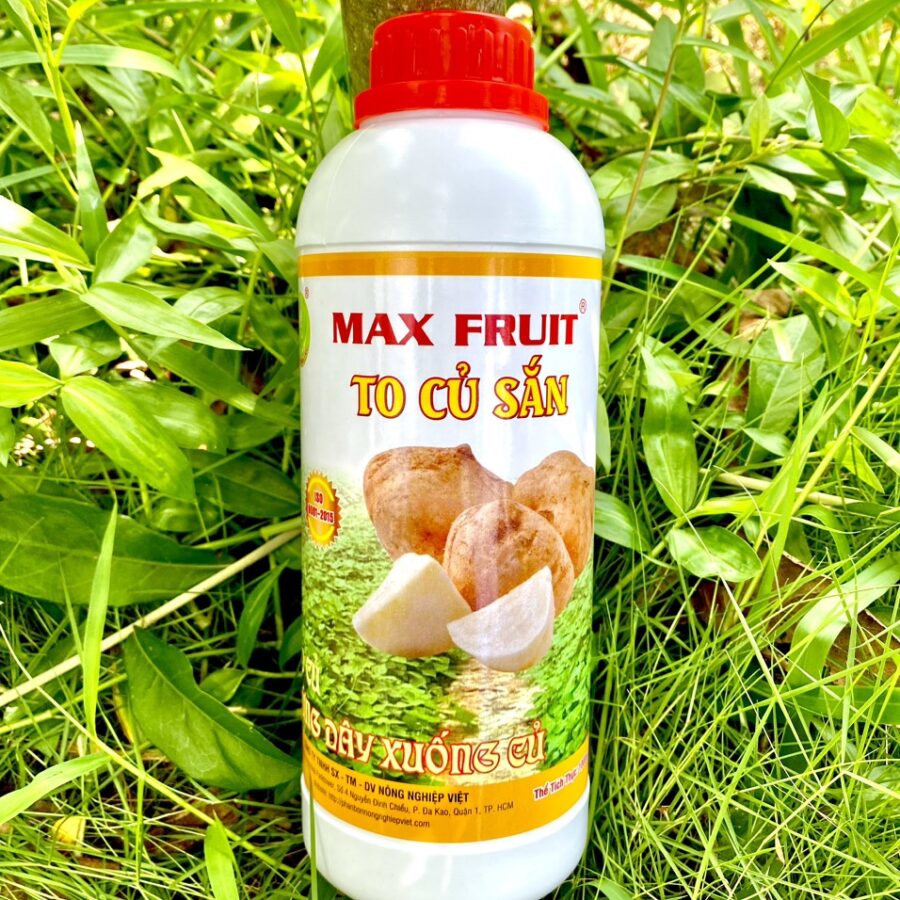 Phân bón Max Fruit To Củ Sắn