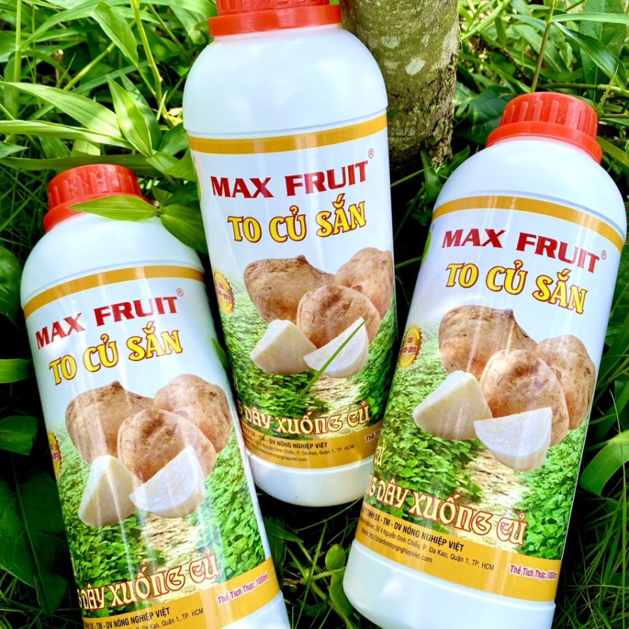 Phân bón Max Fruit To Củ Sắn