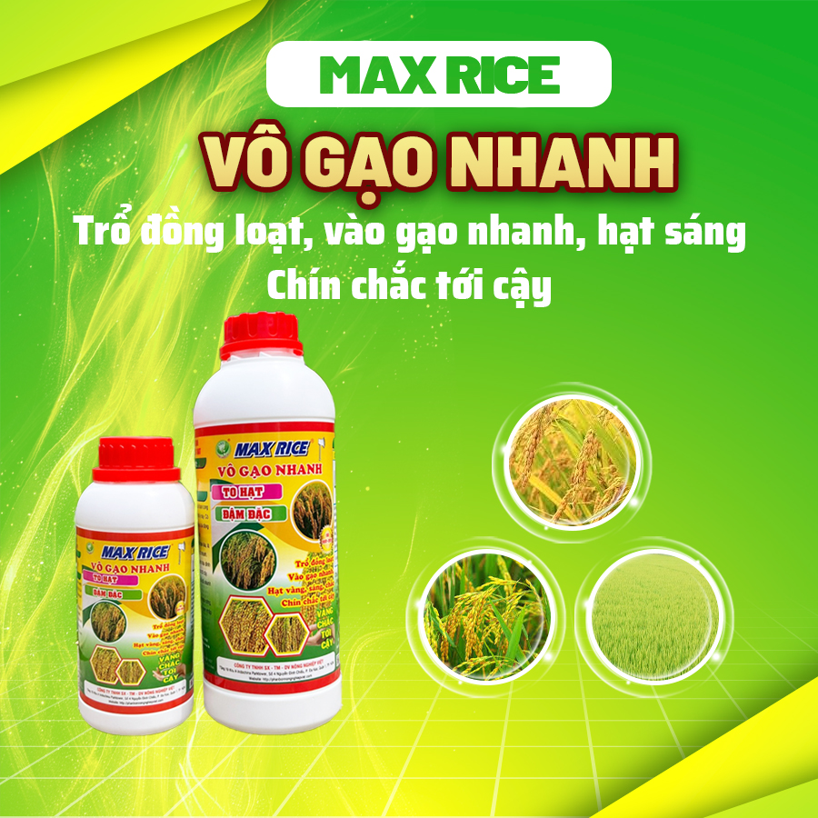 Phân bón Max Rice Vô Gạo Nhanh