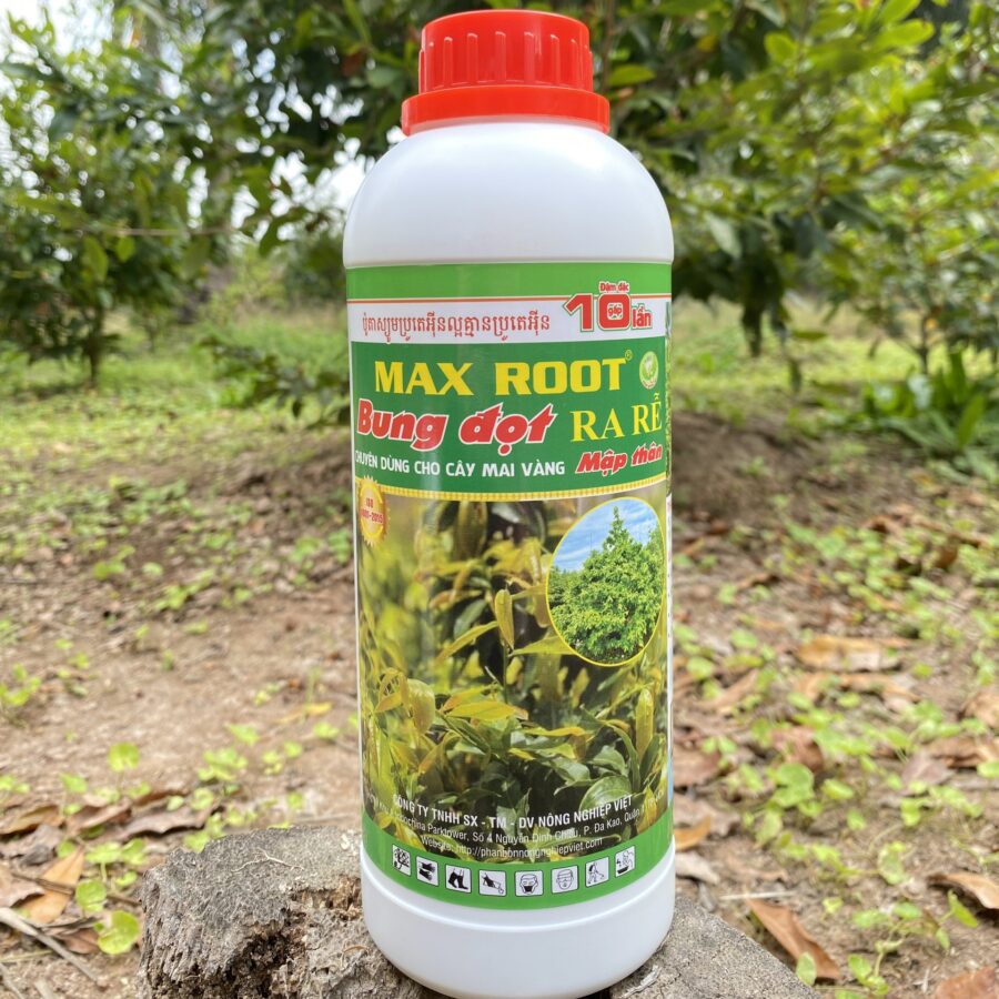 Phân bón Max Root Bung Đọt Ra Rễ chuyên Mai Vàng