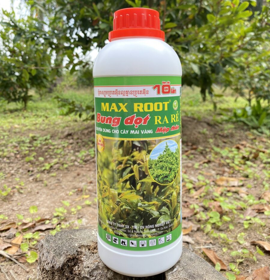 Phân bón Max Root Bung Đọt Ra Rễ chuyên Mai Vàng