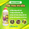 Max Fruit Lớn Trái Vú Sữa – Chai 1L