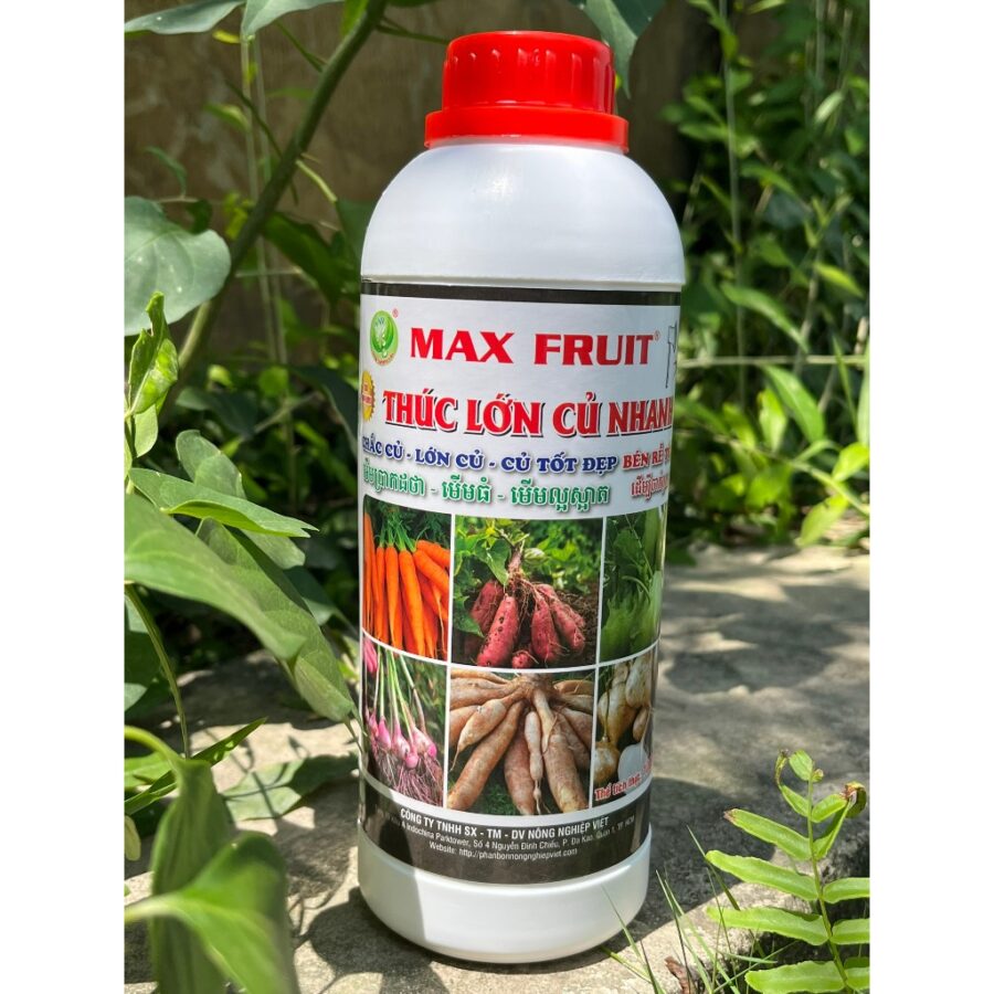 Phân bón Max Fruit Thúc Lớn Củ Nhanh