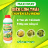 Phân bón Max Fruit Siêu Lớn Trái Sầu Riêng – Chai 1L