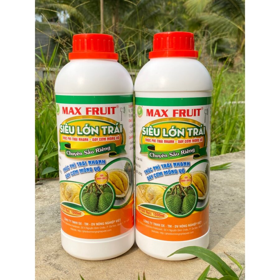 Max Fruit Lớn Trái Sầu Riêng