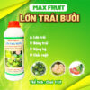 Phân bón Max Fruit Lớn Trái Bưởi – Chai 1L