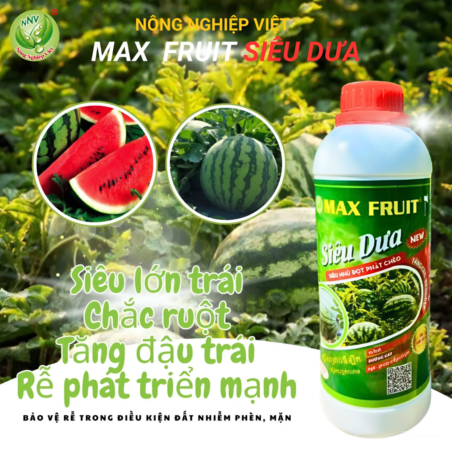 Phân bón Max Root Siêu Dưa Hấu