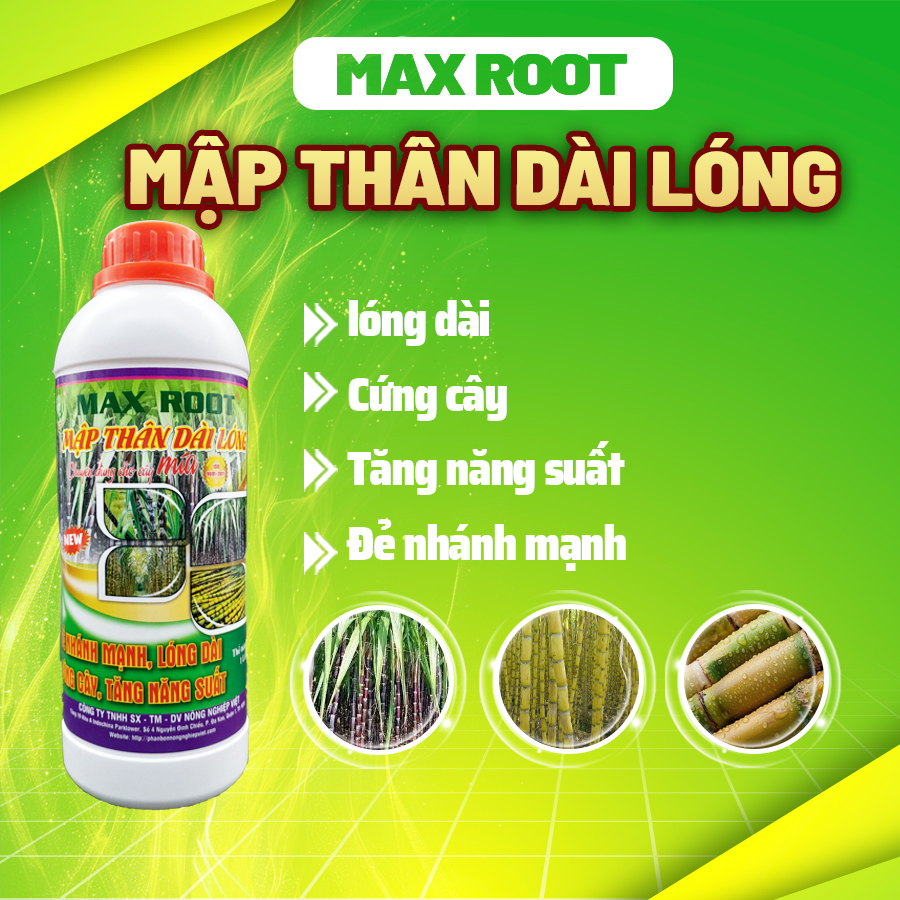 Phân bón Max Root Mập Thân Dài Lóng Chuyên Mía – Chai 1L