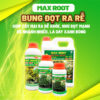 Phân bón Max Root Bung Đọt Ra Rễ chuyên Mai Vàng