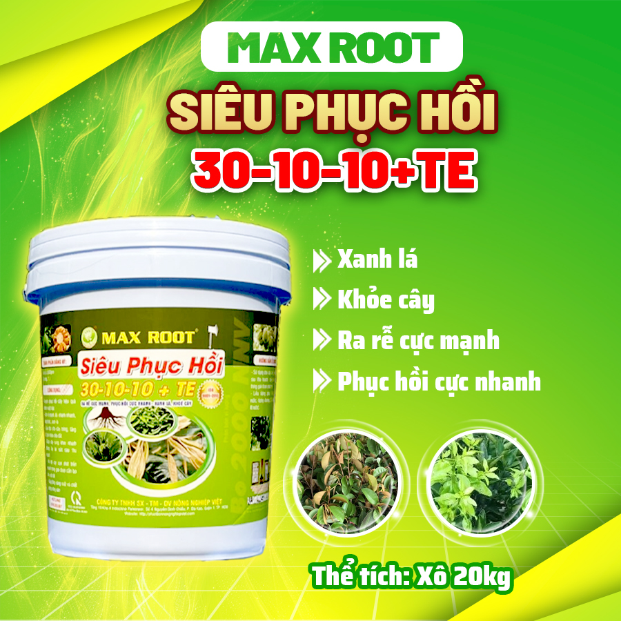 Max Root Siêu Phục Hồi 30-10-10+TE - Xô 20KG